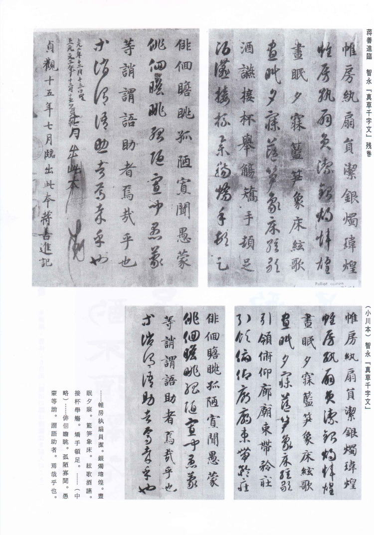 書学 臨書探訪 蒋善臣 臨智永「草書千字文」（小川本）