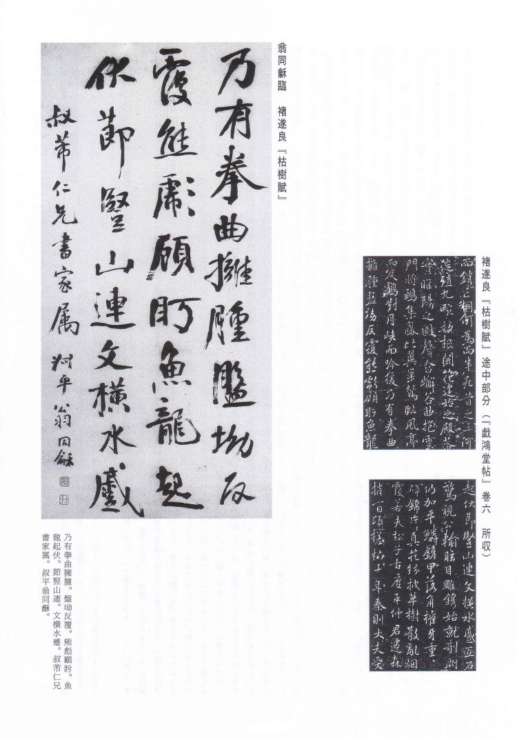 書学 臨書探訪 翁同龢 臨褚遂良「枯樹賦」（「戯鴻堂帖」所収）