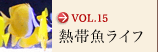 vol.15